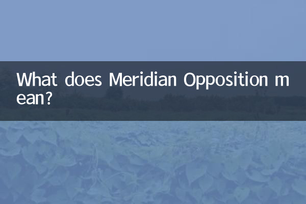 مریدین اپوزیسیون یعنی چه؟