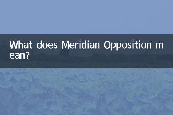 مریدین اپوزیسیون یعنی چه؟