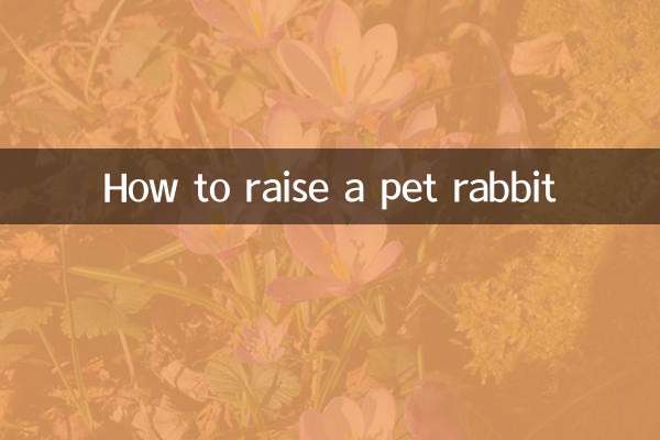 Come allevare un coniglio domestico