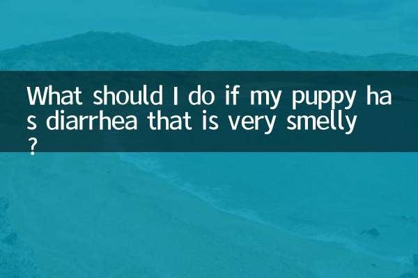 O que devo fazer se meu cachorro tiver diarreia com muito mau cheiro?