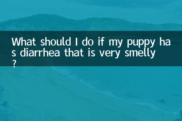 O que devo fazer se meu cachorro tiver diarreia com muito mau cheiro?
