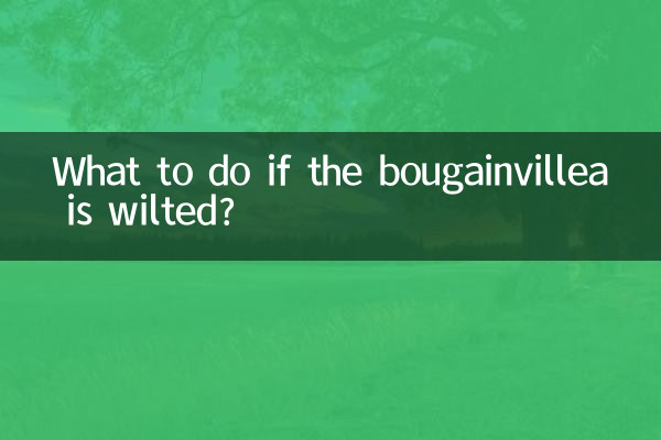 Cosa fare se la bouganville è appassita?