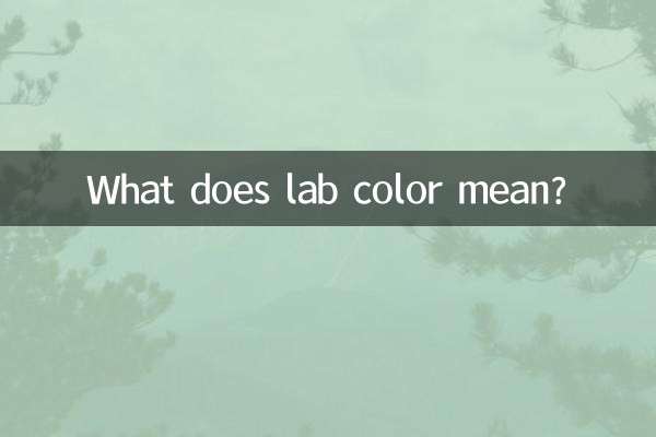 ラボカラーとはどういう意味ですか?