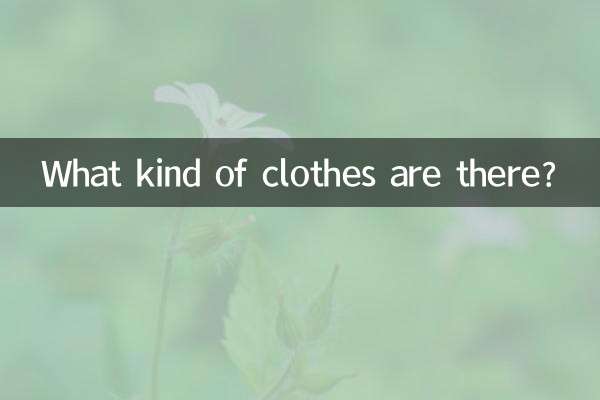 ¿Qué tipo de ropa hay?