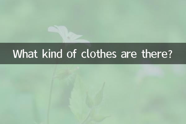 ¿Qué tipo de ropa hay?