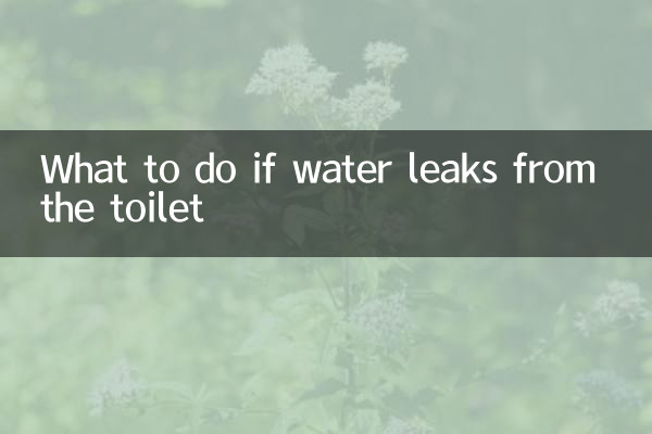 厕所渗水怎么办