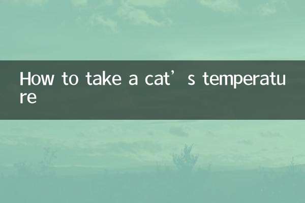 كيفية قياس درجة حرارة القطة