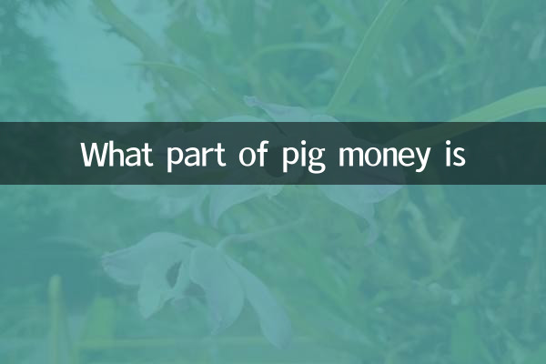 Welcher Teil des Schweinegeldes ist