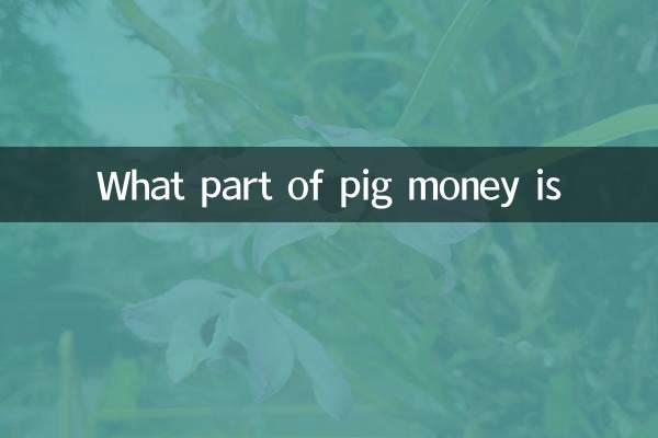 چه بخشی از پول خوک است