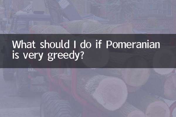 Pomeranian খুব লোভী হলে আমার কি করা উচিত?