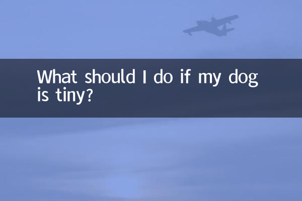犬が小さい場合はどうすればよいですか?