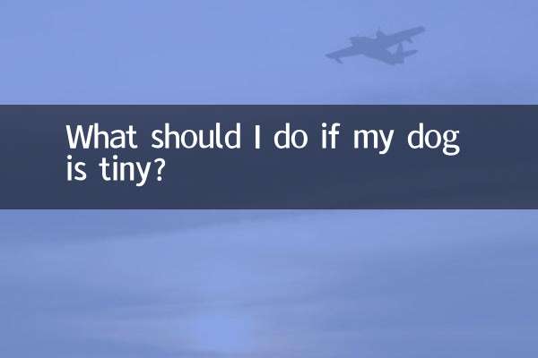 犬が小さい場合はどうすればよいですか?