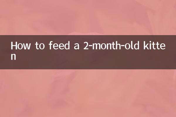 How to feed a 2-month-old kitten