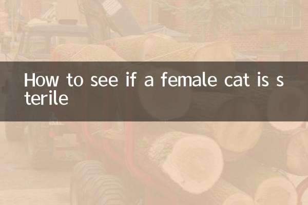 Comment voir si une chatte est stérile