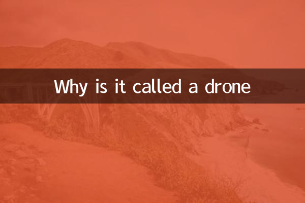 Perché si chiama drone