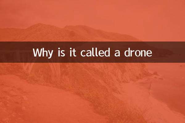 Perché si chiama drone