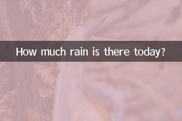 How much rain is there today?