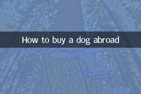 How to buy a dog abroad