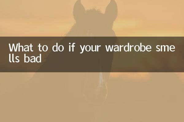 What to do if your wardrobe smells bad