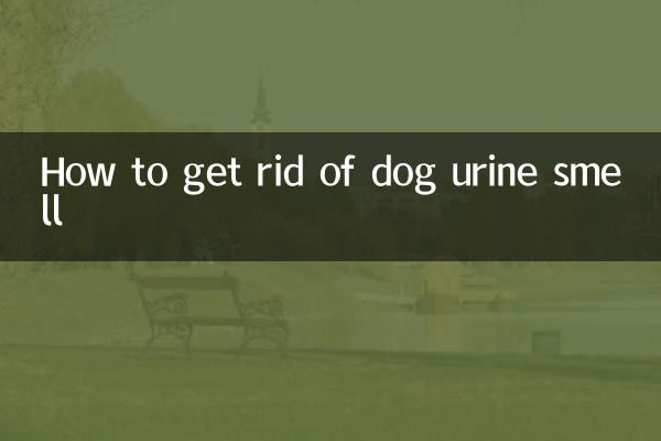 Come eliminare l'odore di urina del cane