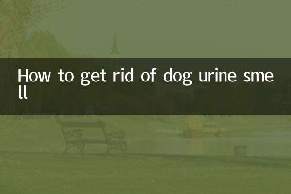 Como se livrar do cheiro de urina de cachorro