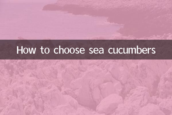How to choose sea cucumbers