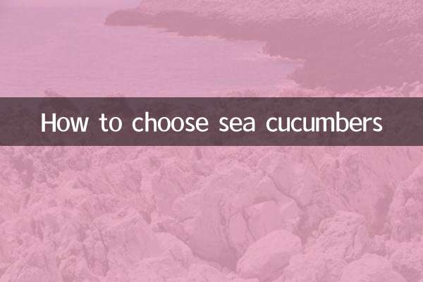 Come scegliere i cetrioli di mare