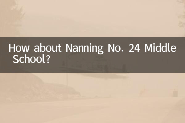 Que tal a Escola Secundária Nanning No. 24?