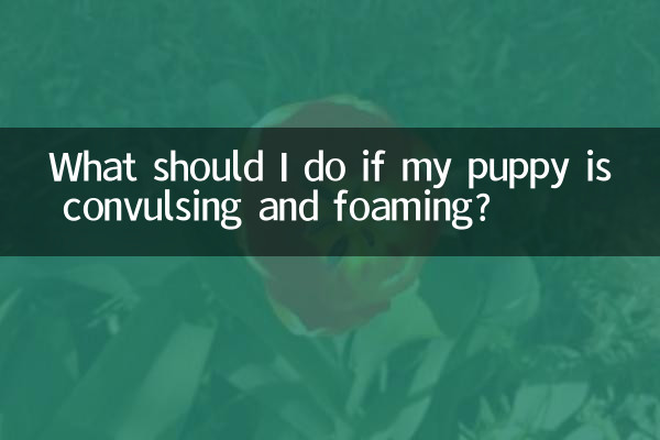 Que dois-je faire si mon chiot a des convulsions et de la mousse ?