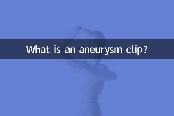 What is an aneurysm clip?