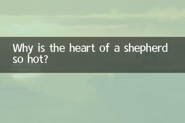 Why is the heart of a shepherd so hot?