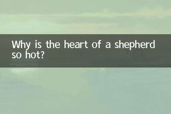 Why is the heart of a shepherd so hot?