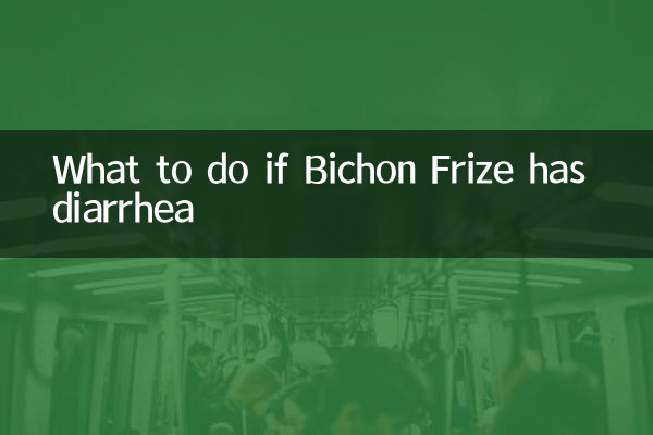 Bichon Frize ডায়রিয়া হলে কি করবেন