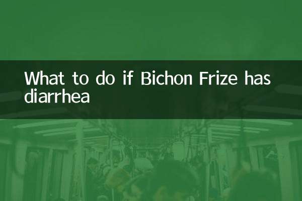 Bichon Frize ডায়রিয়া হলে কি করবেন