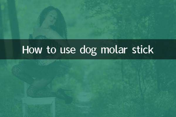 犬用奥歯スティックの使い方