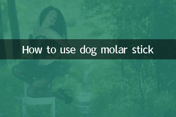 犬用奥歯スティックの使い方