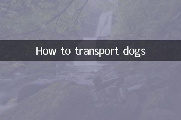 কিভাবে কুকুর পরিবহন