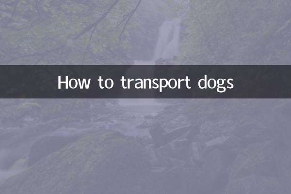 کتوں کو لے جانے کا طریقہ