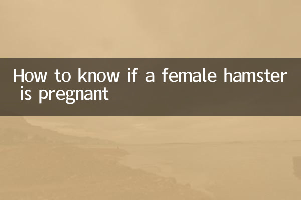Comment savoir si une femelle hamster est enceinte