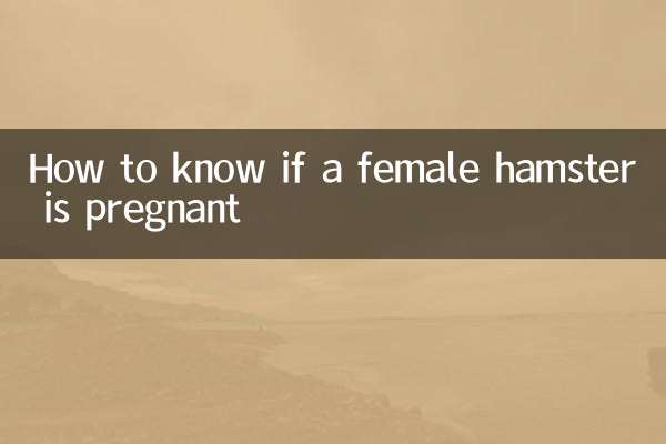कैसे पता चलेगा कि मादा हम्सटर गर्भवती है