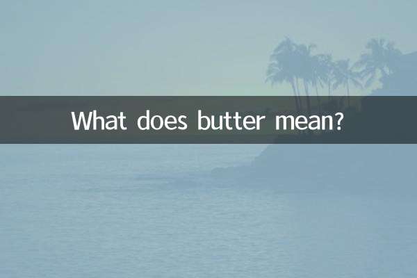 버터는 무슨 뜻인가요?