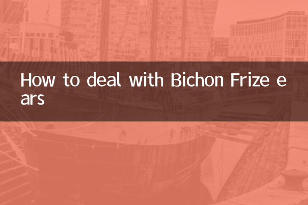 ビションフリーゼの耳の対処法