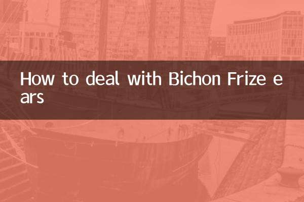 ビションフリーゼの耳の対処法