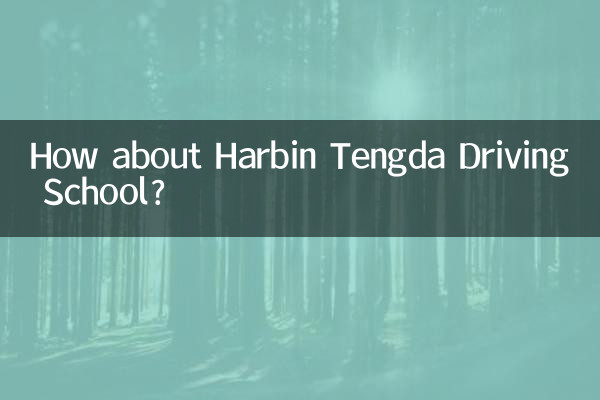 How about Harbin Tengda Driving School?