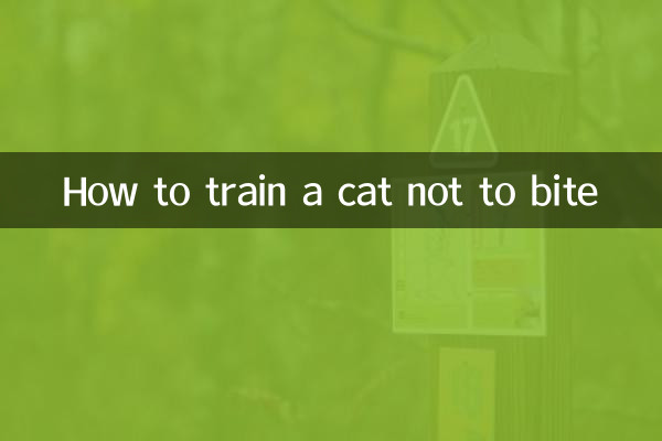 고양이가 물지 않도록 훈련시키는 방법
