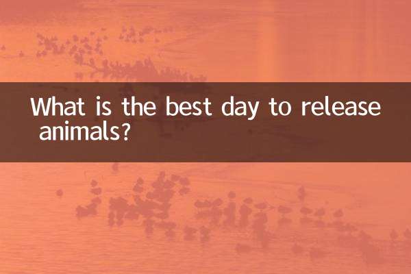 What is the best day to release animals?