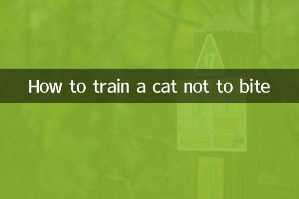 كيفية تدريب القطة على عدم العض