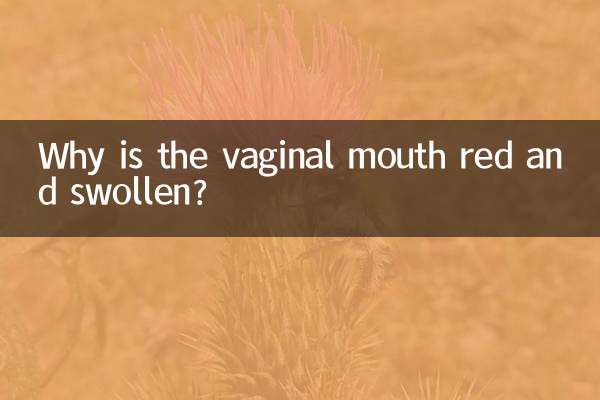 Warum ist der Vaginalmund rot und geschwollen?