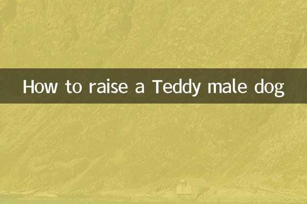 Comment élever un chien mâle Teddy