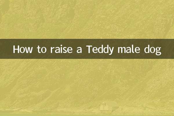 كيفية تربية كلب تيدي ذكر